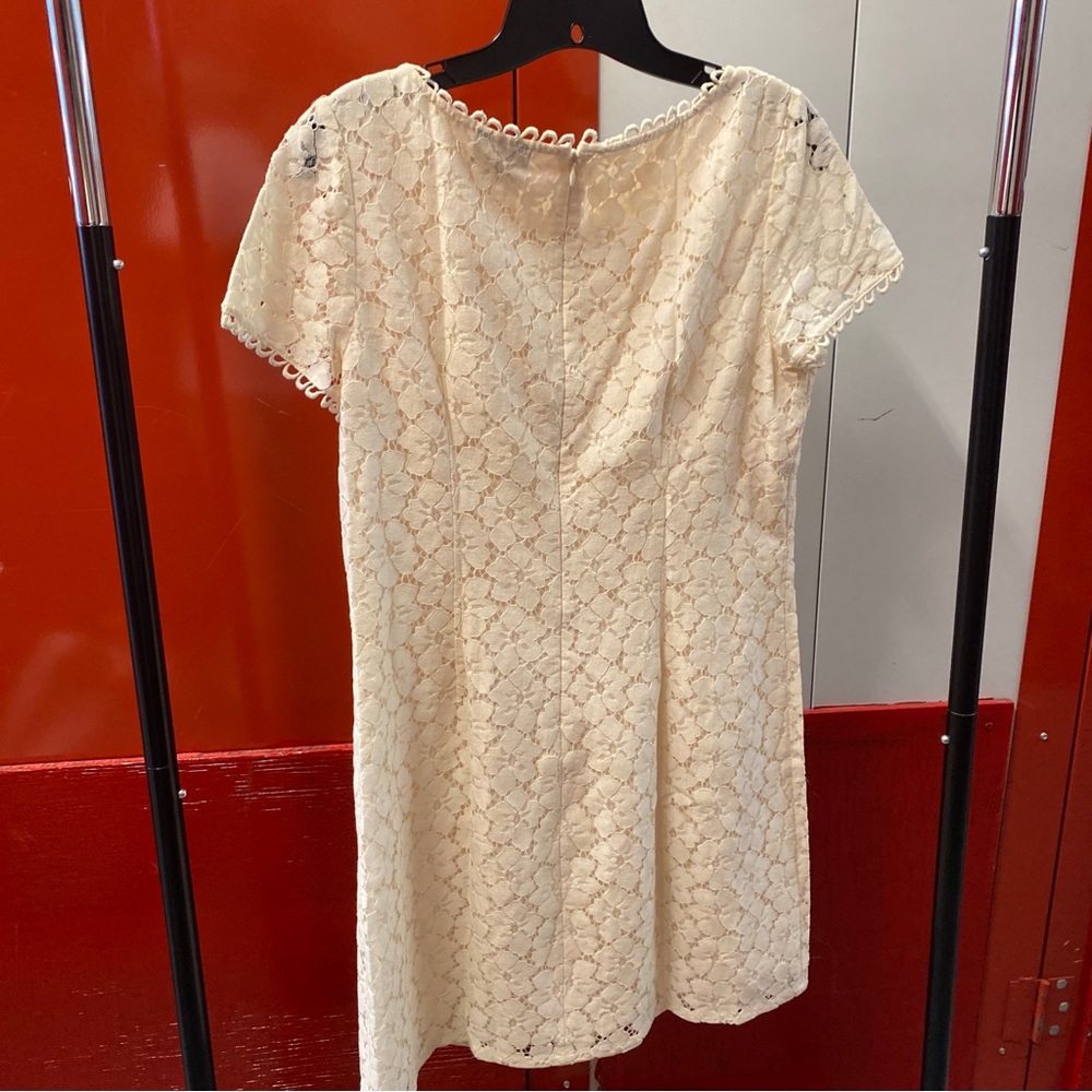 Adrianna Papell Lace Shift Dress in Cream | Size 12P - Picture 4 of 8